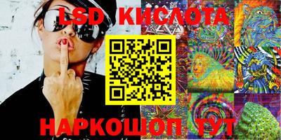 крисы Кингисепп