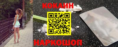 крисы Кингисепп