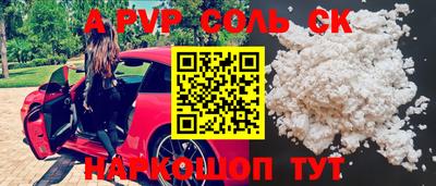 крисы Кингисепп