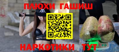 крисы Кингисепп
