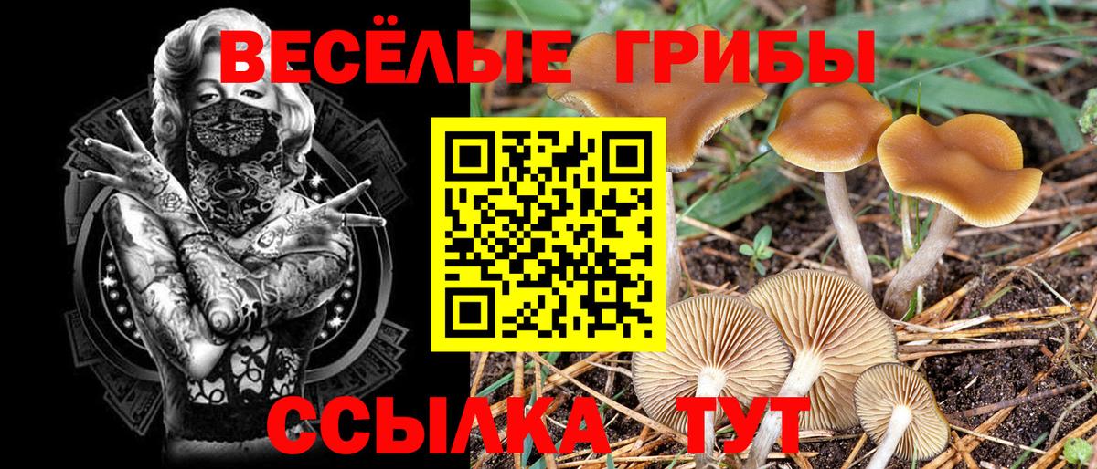 Псилоцибиновые грибы мицелий Кудымкар